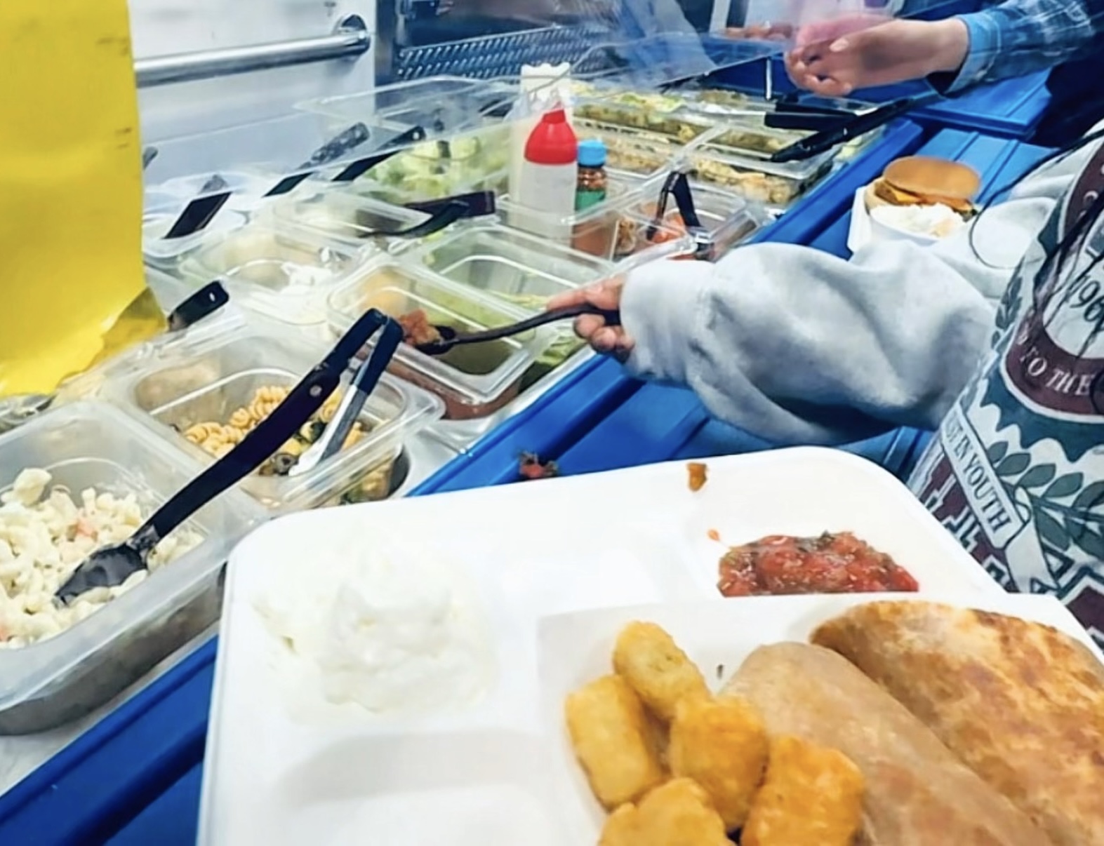 School Meals: Balancing Budget, Guidelines, and Taste